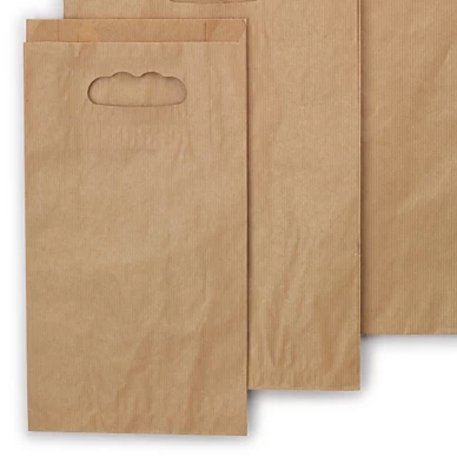 RAJAPACK - Saco kraft com asas pré-cortadas 18x29x6 cm - SPD182