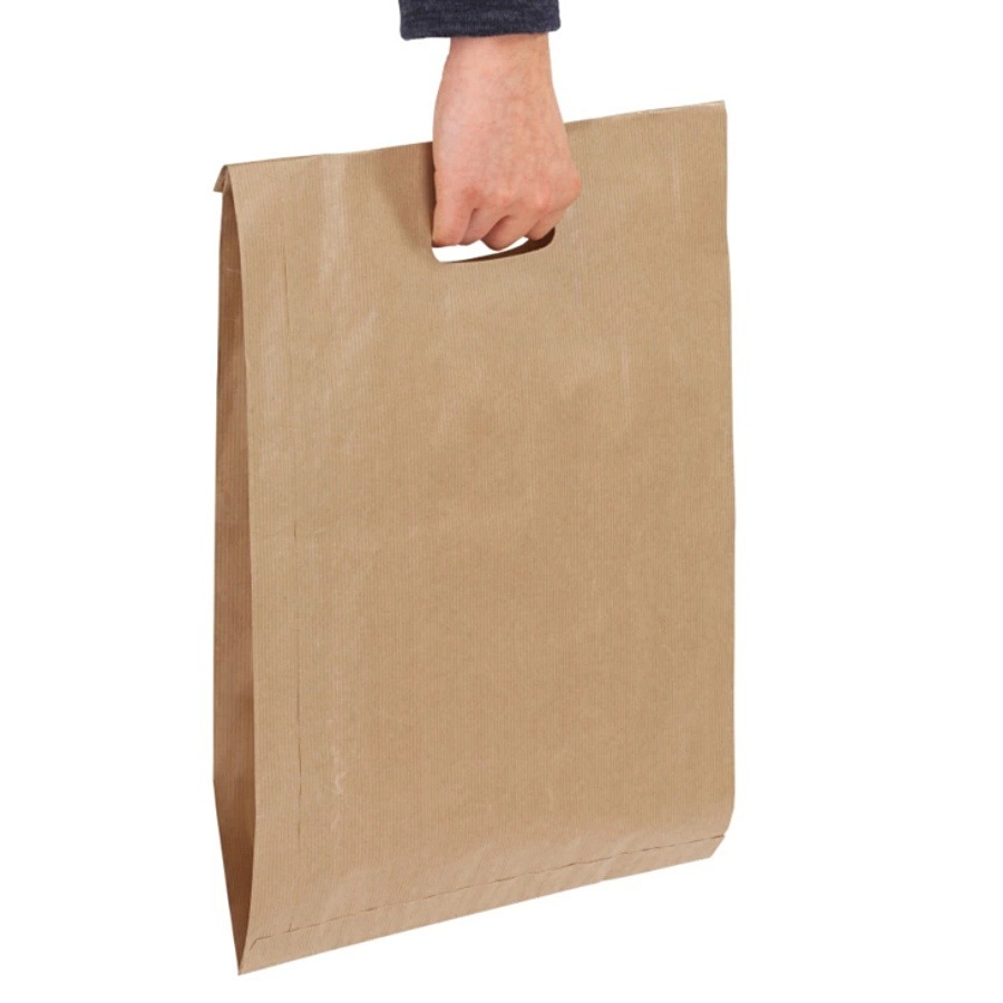 RAJAPACK - Saco kraft com asas pré-cortadas 18x29x6 cm - SPD182_2