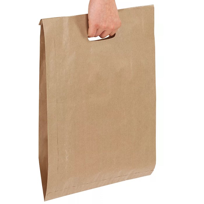 Saco kraft de 18x32cm, com asas pré-cortadas, para o transporte de CDs ou de pequenos livros - SPD18_2