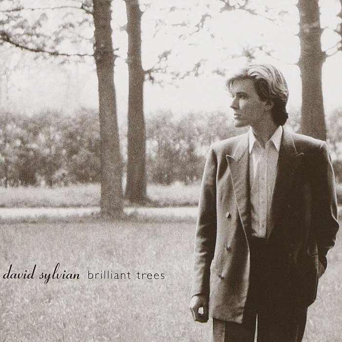 DAVID SYLVIAN - Brilliant Trees - CD - 094636307220