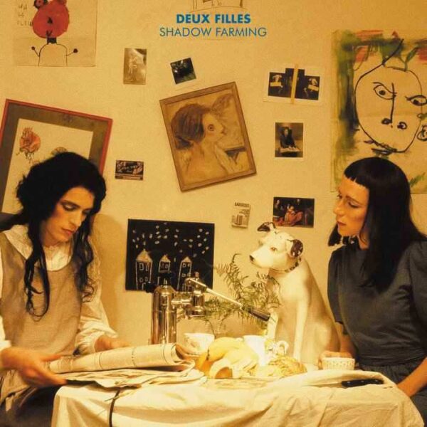 DEUX FILLES Shadow Farming LP Blue Limited GLAMLP036 Apopshop DEUX FILLES Shadow Farming LP Blue Limited GLAMLP036 Apopshop