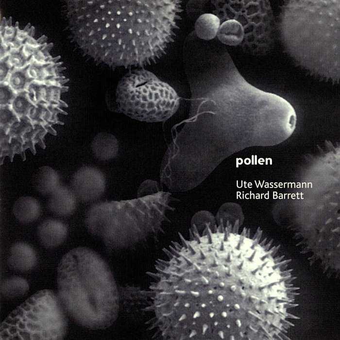 UTE WASSERMANN, RICHARD BARRET - Pollen - CD - CS085CD