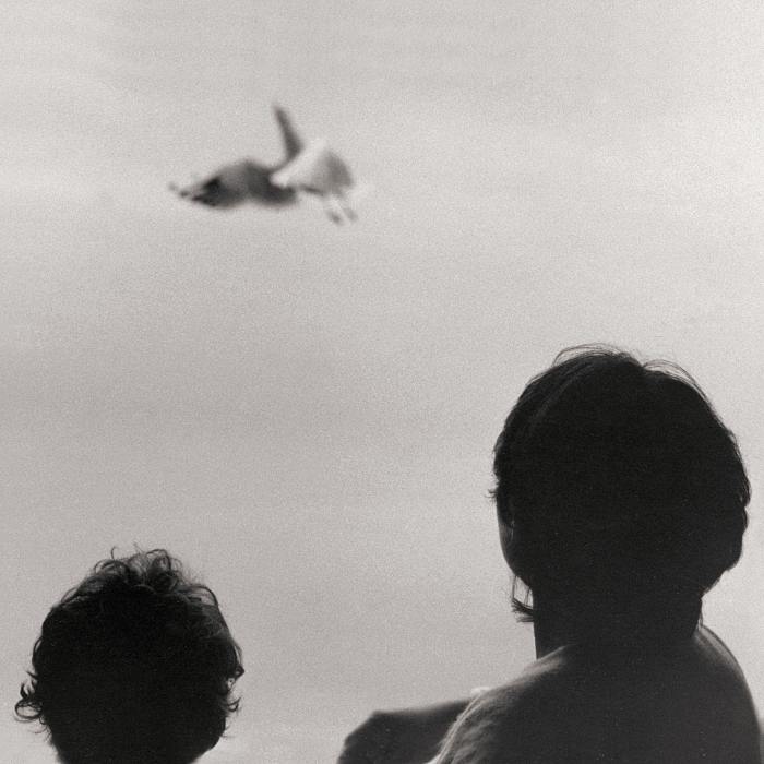 FEDERICO ALBANESE - Before And Now Seems Infinite - LP - 3584472