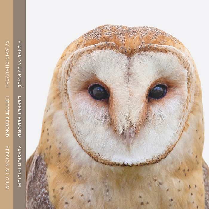 PIERRE-YVES MACÉ vs. SYLVAIN CHAUVEAU - L'Effet Rebond, Version Iridium vs. Version Silicium - CD2 - SR488