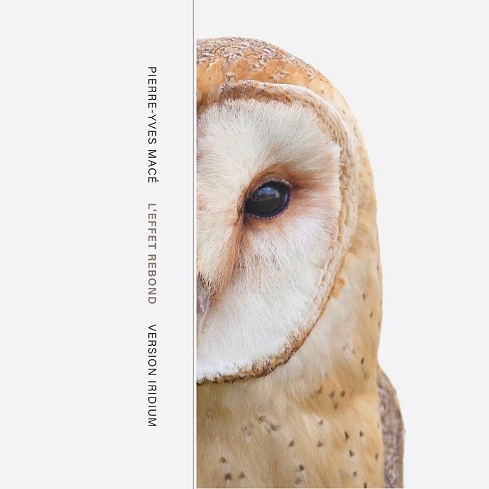 PIERRE-YVES MACÉ vs. SYLVAIN CHAUVEAU - L'Effet Rebond, Version Iridium vs. Version Silicium - CD2 - SR488_2