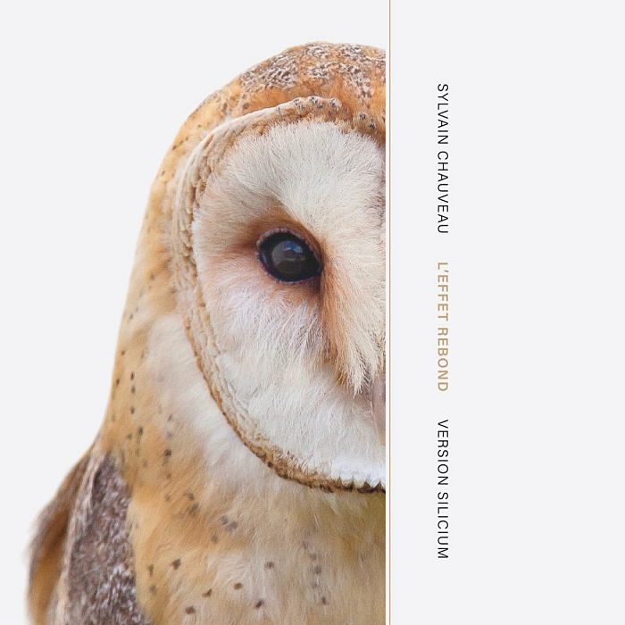 PIERRE-YVES MACÉ vs. SYLVAIN CHAUVEAU - L'Effet Rebond, Version Iridium vs. Version Silicium - CD2 - SR488_3