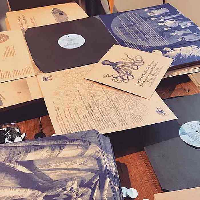 NORTH SEA RADIO ORCHESTRA, JOHN GREAVES & ANNIE BARBAZZA - Folly Bololey, Songs From Robert Wyatt's Rock Bottom - LP blue+CD - DCLP012_2