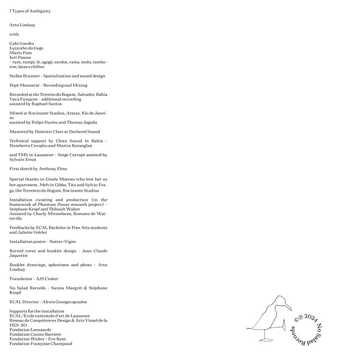 ARTO LINDSAY - 7 Types Of Ambiguity - A Parade - LP limited - NSR006_3