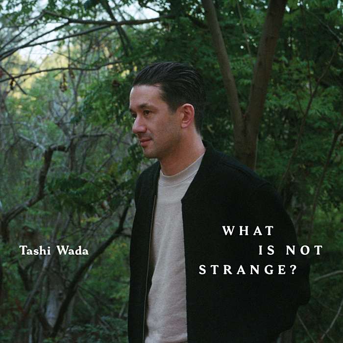 TASHI WADA - What Is Not Strange - 2LP - RVNGNL114