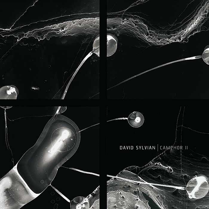 DAVID SYLVIAN - Camphor II - 2LP colorato - 7526879