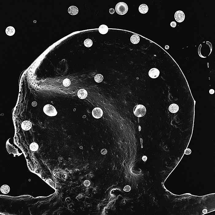 DAVID SYLVIAN - Camphor II - 2LP colorato - 7526879_3