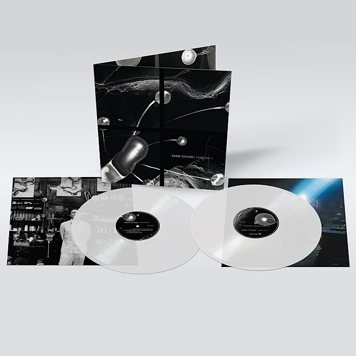 DAVID SYLVIAN - Camphor II - 2LP colorato - 7526879_4